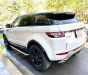 LandRover Evoque Evoque 2014 - Bán LandRover Evoque Evoque năm 2014, màu trắng, nội thất kem, xe nhập