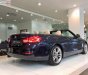 BMW 4 Series 420i Convertible 2018 - Cần bán BMW 4 Series 420i Convertible sản xuất năm 2018, màu xanh lam, xe nhập