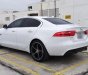 Jaguar XE Portfolio 2015 - Bán ô tô Jaguar XE Portfolio model 2016, màu trắng, nhập khẩu nguyên chiếc