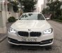 BMW 5 Series 520i 2016 - Cần bán BMW 5 Series 520i đời 2016, màu trắng, nhập khẩu nguyên chiếc