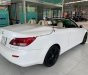 Lexus IS 250C 2010 - Bán Lexus IS 250C sản xuất năm 2010, màu trắng, xe nhập