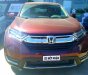 Honda CR V L 2019 - Bán ô tô Honda CR V L năm 2019, màu đỏ, nhập khẩu nguyên chiếc