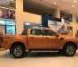 Ford Ranger Wildtrak 2.0L 4x4 AT 2019 - Bán xe Ford Ranger Wildtrak 2.0L 4x4 AT đời 2019, xe nhập