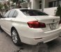 BMW 5 Series 520i 2016 - Cần bán BMW 5 Series 520i đời 2016, màu trắng, nhập khẩu nguyên chiếc