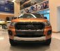 Ford Ranger Wildtrak 2.0L 4x4 AT 2019 - Bán xe Ford Ranger Wildtrak 2.0L 4x4 AT đời 2019, xe nhập