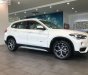 BMW X1 sDrive18i 2018 - Bán BMW X1 sDrive18i năm sản xuất 2018, màu trắng, nhập khẩu  