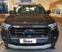 Ford Ranger Wildtrak 2.0L 4x4 AT 2019 - Bán Ford Ranger Wildtrak 2.0L 4x4 AT sản xuất năm 2019, màu xám 