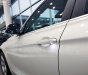 BMW 3 Series 320i 2018 - Bán ô tô BMW 3 Series 320i sản xuất năm 2018, màu trắng, xe nhập