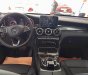 Mercedes-Benz C class GLC200 2018 - Cần bán Mercedes GLC200 sản xuất 2018, màu đỏ nội thất đen ở Tuy Hòa, Phú Yên