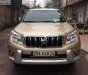 Toyota Prado XLT 2.7  2010 - Bán xe Toyota Prado 2010, màu vàng, nhập khẩu, chính chủ