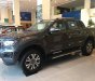 Ford Ranger Wildtrak 2.0L 4x4 AT 2019 - Bán Ford Ranger Wildtrak 2.0L 4x4 AT sản xuất năm 2019, màu xám 