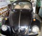 Volkswagen Beetle 1980 - Cần bán xe Volkswagen Beetle 1980, xe nhập, giá tốt