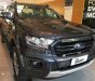 Ford Ranger Wildtrak 2.0L 4x4 AT 2019 - Bán Ford Ranger Wildtrak 2.0L 4x4 AT sản xuất năm 2019, màu xám 