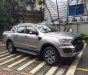 Ford Ranger  Wildtrak   2019 - Bán xe Ford Ranger Wildtrak 2019, màu xám, nhập khẩu, giá chỉ 918 triệu