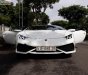 Lamborghini Huracan LP610 2014 - Bán ô tô Lamborghini Huracan LP610 sản xuất năm 2014, màu trắng, nhập khẩu nguyên chiếc ít sử dụng