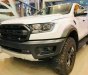 Ford Ranger  Raptor   2019 - Bán Ranger Raptor 2019 mới 100%, đủ 5 màu: Trắng, đỏ, xanh, xám, đen