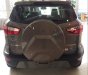 Ford EcoSport   Titanium   2019 - Bán xe Ford Ecosprot Titanium 2019 - Giá hấp dẫn