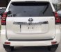 Toyota Prado 2019 - Cần bán xe Toyota Prado 2019, màu trắng, nhập khẩu nguyên chiếc