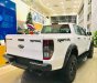 Ford Ranger  Raptor   2019 - Bán Ranger Raptor 2019 mới 100%, đủ 5 màu: Trắng, đỏ, xanh, xám, đen