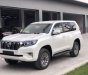 Toyota Prado 2019 - Cần bán xe Toyota Prado 2019, màu trắng, nhập khẩu nguyên chiếc