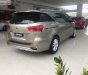 Kia Sedona Platinum D 2018 - Bán xe Kia Sedona Platinum D sản xuất 2018