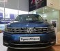 Volkswagen Tiguan 2018 - Bán ô tô Volkswagen Tiguan đời 2018, màu xanh lam, nhập khẩu nguyên chiếc