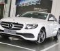 Mercedes-Benz E class E250 2019 - Bán xe Mercedes E250 đời 2019, màu trắng