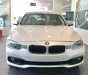 BMW 3 Series 320i  2017 - Cần bán BMW 320i năm sản xuất 2017, màu trắng, xe nhập