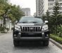 Toyota Prado 2010 - Cần bán xe Toyota Prado đời 2011, màu đen, nhập khẩu