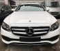 Mercedes-Benz E class 2019 - Cần bán xe Mercedes năm sản xuất 2019, màu trắng