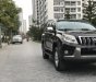 Toyota Prado 2010 - Cần bán xe Toyota Prado đời 2011, màu đen, nhập khẩu