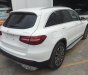 Mercedes-Benz GLC-Class 2019 - Bán xe Mercedes GLC250 mới nhất chính hãng giao ngay