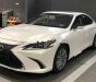 Lexus ES 250 2018 - Bán Lexus ES 250 2019 hoàn toàn mới sẽ đến tay khách hàng trong tháng 1/2019