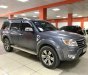 Ford Everest 2.5L AT 2009 - Bán xe Ford Everest đời 2009, màu xám (ghi), số tự động máy dầu