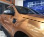 Ford Ranger  Wildtrak  2.0   2019 - Bán Ford Ranger Wildtrak  2.0 2019, nhập khẩu nguyên chiếc, mới 100%