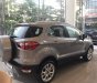 Ford EcoSport Ambiente MT 2018 - Bán ô tô Ford EcoSport 2018, màu xám, xe nhập