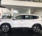 Hyundai Santa Fe     2019 - Bán xe Hyundai Santa Fe đời 2019, màu trắng