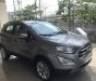 Ford EcoSport Ambiente MT 2018 - Bán ô tô Ford EcoSport 2018, màu xám, xe nhập