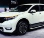 Honda CR V   2019 - Cần bán Honda CR V đời 2019, màu trắng, nhập khẩu nguyên chiếc