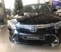 Toyota Camry   2.5 Q  2019 - Bán Toyota Camry 2.5 Q đời 2019, màu đen