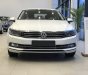 Volkswagen Passat 2019 - Bán Volkswagen Passat, xe Đức hạng E, Trả trước 300 triệu, bao bank, bao hồ sơ khó, xe bao ngon, tặng phụ kiện