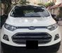 Ford EcoSport Titanium 1.5L AT	 2015 - Cần bán gấp Ford EcoSport Titanium 1.5L AT sản xuất năm 2015, màu trắng, 500 triệu