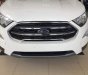 Ford EcoSport   1.5 titanium   2018 - Cần bán Ford EcoSport 1.5 titanium năm 2018, màu trắng