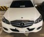 Mercedes-Benz E class  E200  2015 - Bán Mercedes E200 2015, màu trắng, xe nhập, số tự động