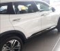 Hyundai Santa Fe   2019 - Cần bán xe Hyundai Santa Fe đời 2019, màu trắng, nhập khẩu