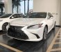 Lexus ES 250 2018 - Bán Lexus ES 250 2019 hoàn toàn mới sẽ đến tay khách hàng trong tháng 1/2019