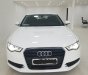 Audi A6 2014 - Bán xe Audi A6 sản xuất 2014, màu trắng, nhập khẩu nguyên chiếc