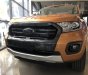 Ford Ranger  Wildtrak  2.0   2019 - Bán Ford Ranger Wildtrak  2.0 2019, nhập khẩu nguyên chiếc, mới 100%