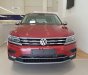 Volkswagen Tiguan 2019 - Xe 7 chỗ Tiguan 2019 nhập khẩu, chạy êm, vay 85%, giao ngay đi tết, nhiều màu