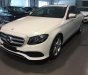 Mercedes-Benz E class E250 2018 - Bán Mercedes E250 giá tốt, khuyến mại trao tay giao ngay tức thì, Lh 0965075999